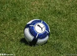 新疆男篮迎,第四外援,后卫爱德华,万博manbetx体育平台,万博体育官网,万博体育app下载,ManBetX,SPORTS