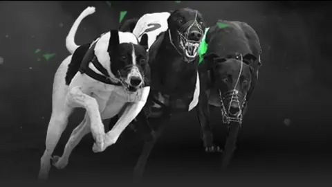 C羅新冠病毒檢測陰性，一周隔離後將恢復訓練及賽事參與